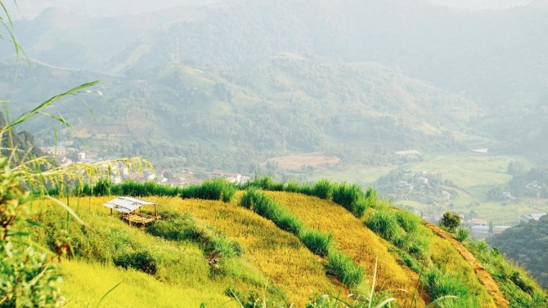 Mối liên hệ giữa nhan đề và hiện thực Tây Bắc