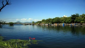 Phân tích Ai đã đặt tên cho dòng sông