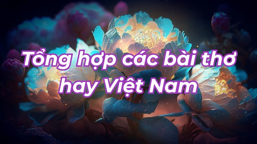 Tổng hợp các bài thơ hay Việt Nam